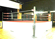 wrestling ring